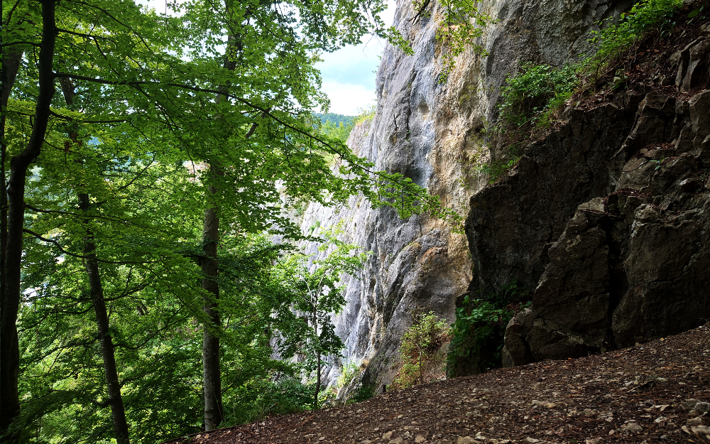Wandern zur Küssenden Sau - Ruine Günzelsburg - Brillenhöhle - Blaubeuren - Wandern im Achtal Ausblick von der Brillenhöhle